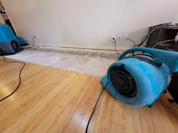 Professional Water Damage Repair technician working in Washingtonville, NY